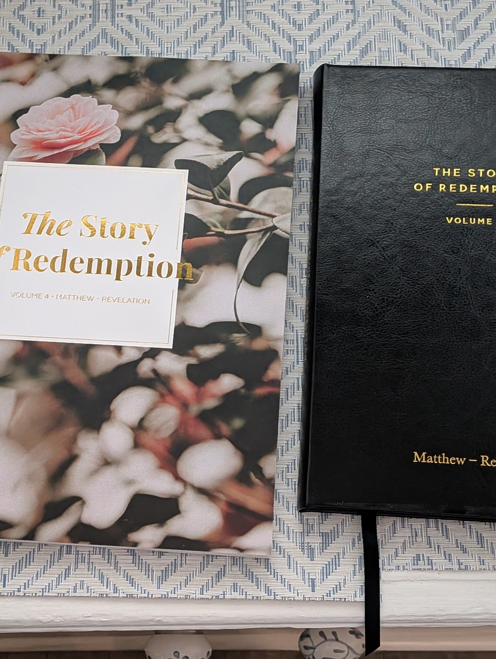 Daily Grace Co Story Of Redemption Vol 4: Matthew-Revelation Book & Journal